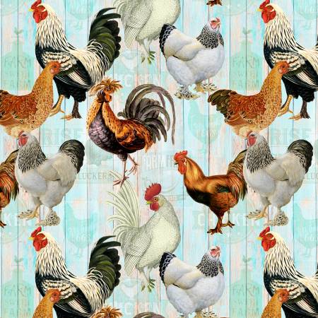 Spring Chickens on Faded Fence