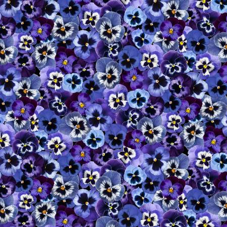 Multi Packed Pansy