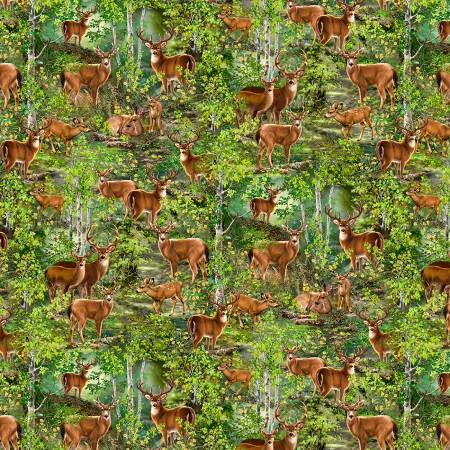 Forest Realistic Deers In To The Wood